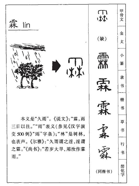 霖字五行|霖的意思，霖字的意思